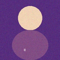 资深体育分析师张伟头像